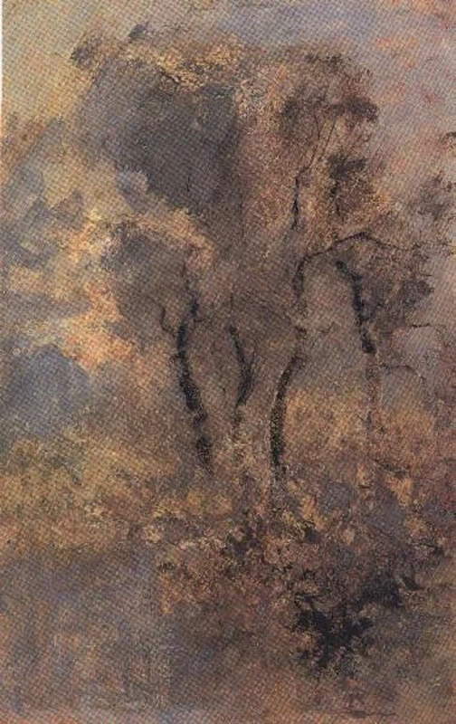 Lanca alla Zelata - Musei Civici, Pavia